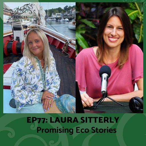 Promising Eco Stories with Laura Sitterly, Ep. 77