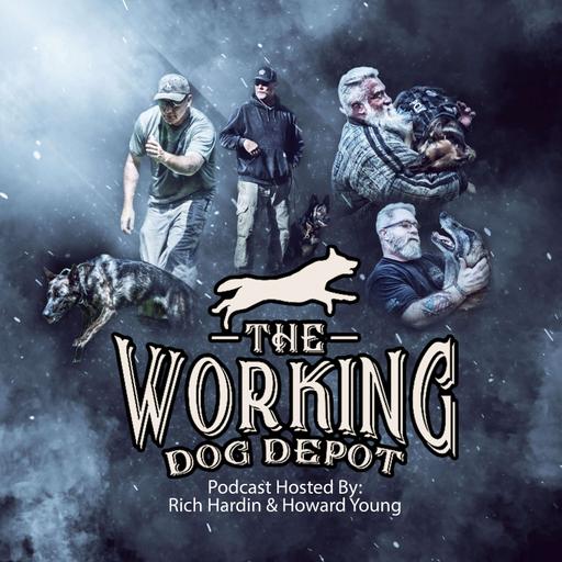 Episode #39 Rodney Spicer Gold Coast K9 "Perseverance"