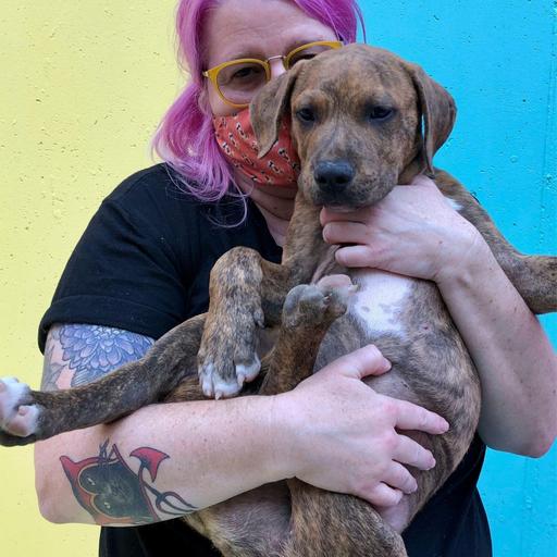 S2/E8 ELLEN MARETT AND FORGOTTEN DOGS RESCUE