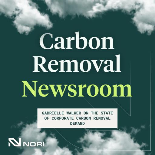 Gabrielle Walker on the State of Corporate Carbon Removal Demand