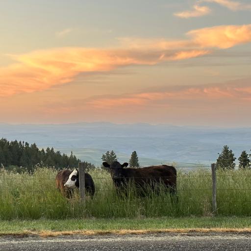 On Farm Trials ft. Tom Conklin