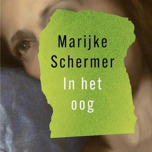 Marijke Schermer over haar roman In het oog