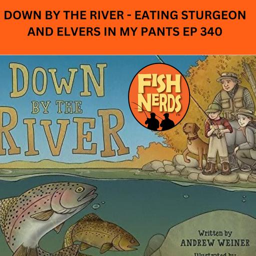 DOWN BY THE RIVER - EATING STURGEON AND ELVERS IN MY PANTS EP 340