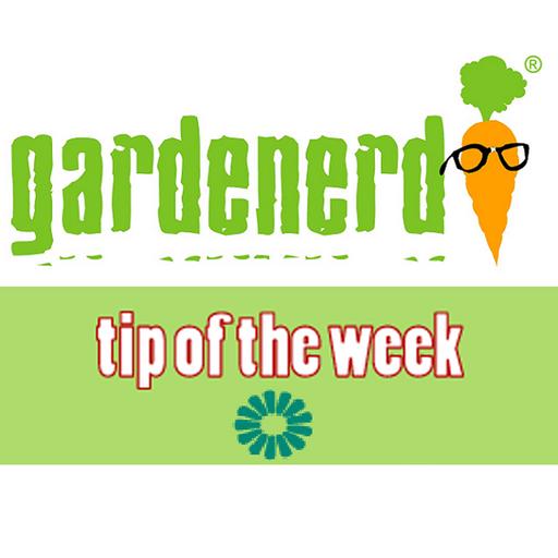 Container Gardening with Angela Judd