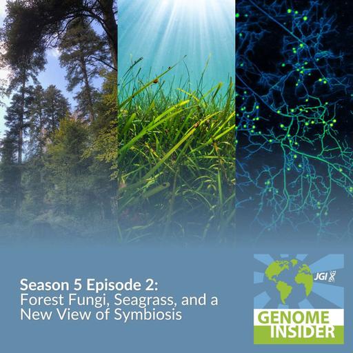 Forest Fungi, Seagrass, and a New View of Symbiosis