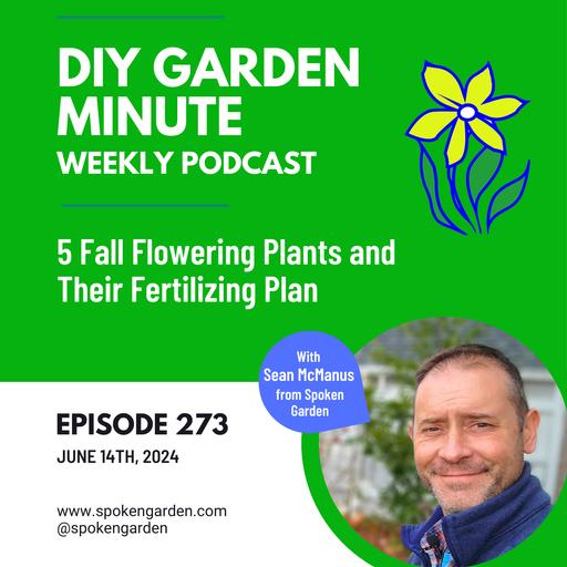 5 Fall Flowering Plants to Fertilize in June or July - DIY Garden Minute