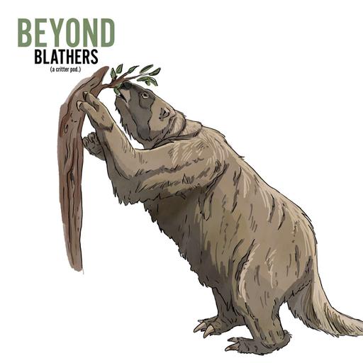 Ground Sloth