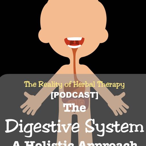 The Digestive System: A Holistic Approach