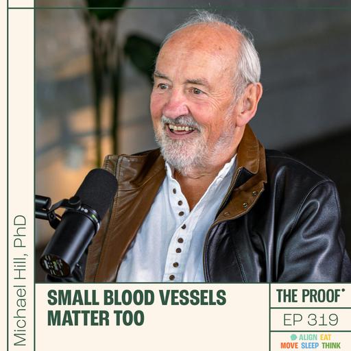 Small blood vessels matter too | Michael Hill, PhD