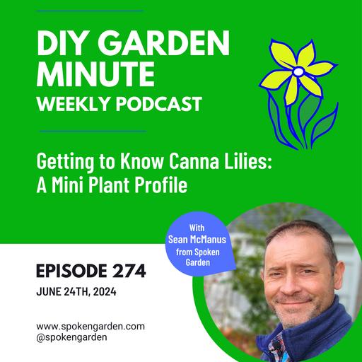 Getting to Know Canna Lilies: A Mini Plant Profile - DIY GM