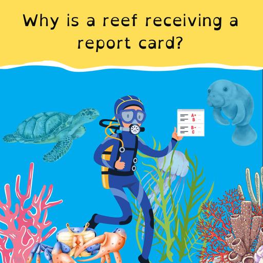 Australia receives reef report card; World’s ugliest dog crowned; a sauce to rule them all; and we’re warming up for Origin.