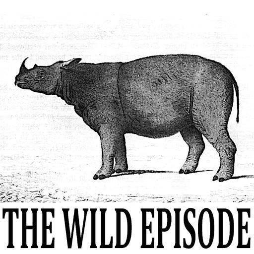 Sumatran Rhino : Sunset Song
