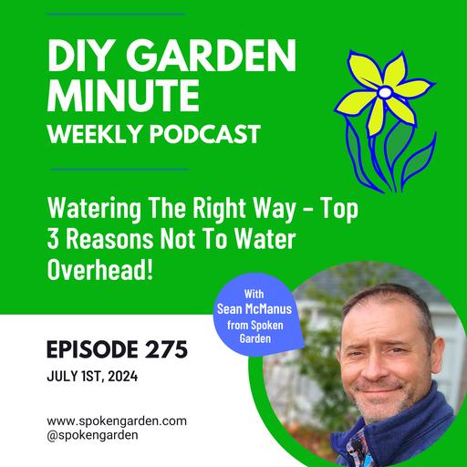 Watering The Right Way – Top 3 Reasons Not To Water Overhead - DIY Garden Minute