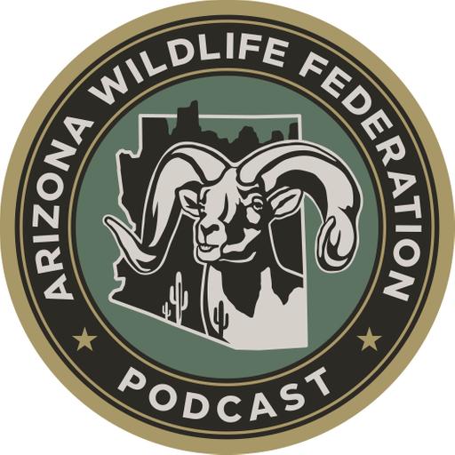 Affiliate Spotlight: Arizona Desert Bighorn Sheep Society