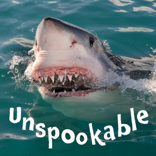 Episode 62: Sharks