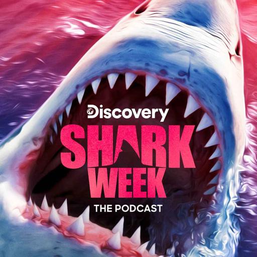 The Social Lives of Sharks