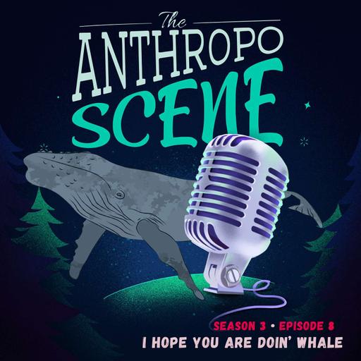 I Hope You Are Doin' Whale