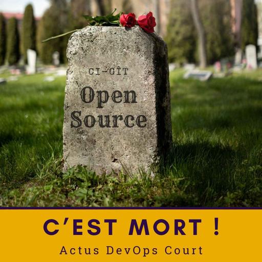 🪦 L’open source d’entreprise est mort ! | ADO Court