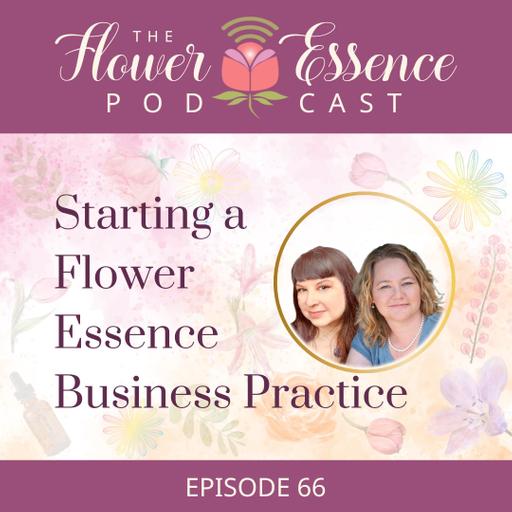 FEP66 Starting a Flower Essence Business Practice