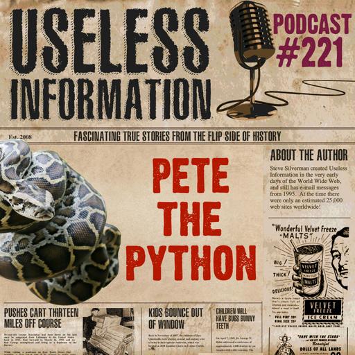 Pete the Python - UI Podcast #221