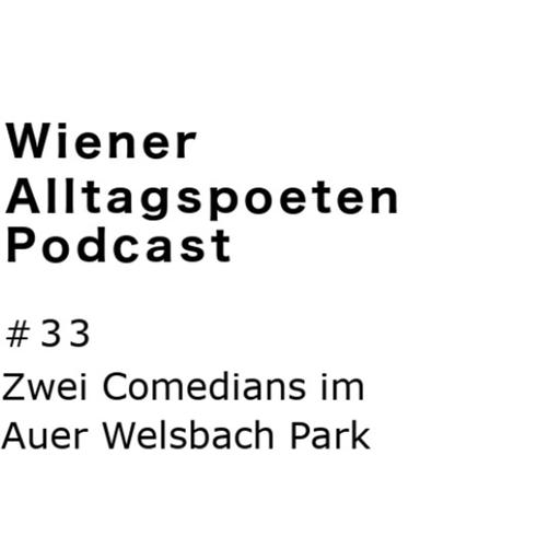 #33 Zwei Comedians im Park