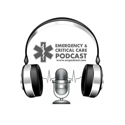 Proveedores de atención prehospitalaria: ¿técnicos, enfermeros o médicos?