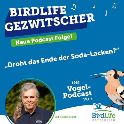 75. Droht das Ende der Soda-Lacken?
