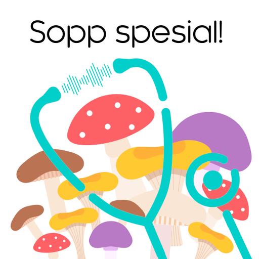 Sopp spesial