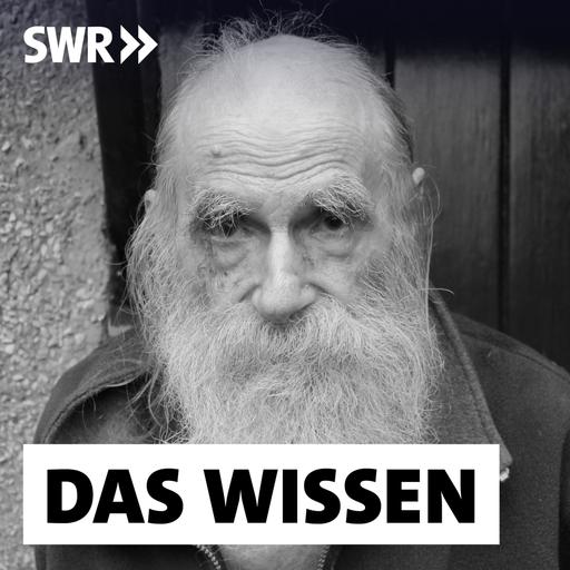 Der Logiker George Spencer-Brown – "Ich rede Unsinn"