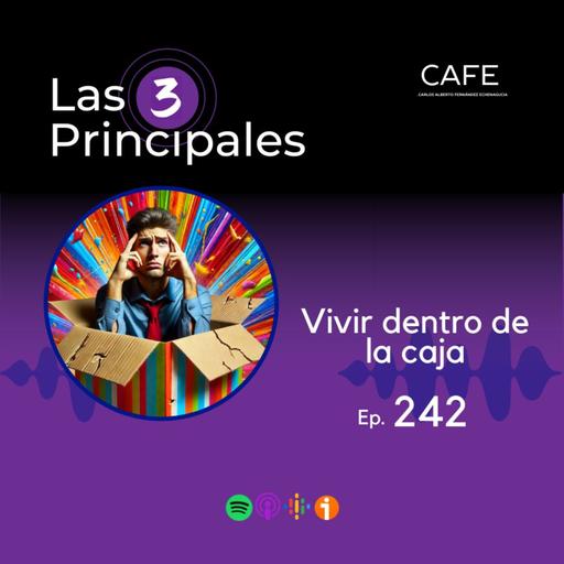 242- Vivir dentro de la caja