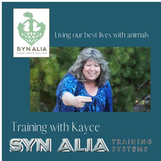 Trainers Talking Training