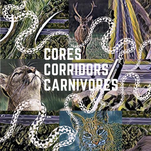 Beth Pratt | National Wildlife Federation | Coexisting with Wildlife