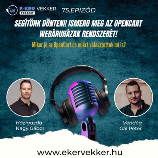 75. Segítünk dönteni! Ismerd meg az OpenCart webáruházak rendszerét!