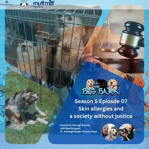 The Big Bark - S05E07 Episode #84 - Skin allergies and a society without justice