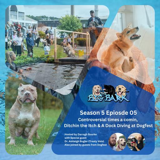 The Big Bark - S05E05 Episode #82 - Controversial times a comin, Ditchin the Itch, & Dock diving at Dogfest