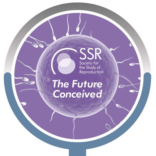 EP 33: Interview with 2024 SSR Trainee Mentoring Award Winner, Dr. Paula Cohen