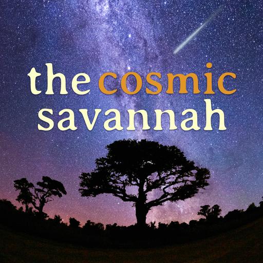 Episode 75: Exploring the Universe at the SARAO Conference