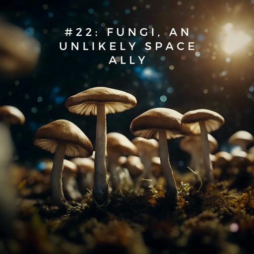 #22: Fungi, an unlikely space ally