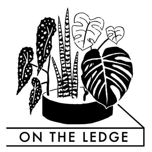 Episode 301: Late Night On The Ledge - Hilton Carter