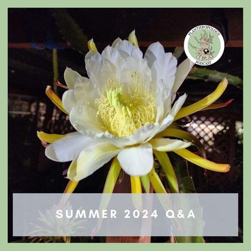 111. Dragon Fruits, Lichen, and the Most Important Plant Thing- Summer 2024 Q&A