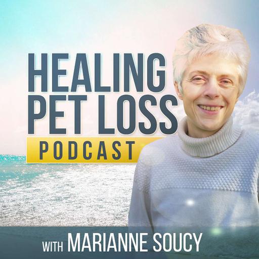 Peace and healing after pet loss with angel cat Sacha