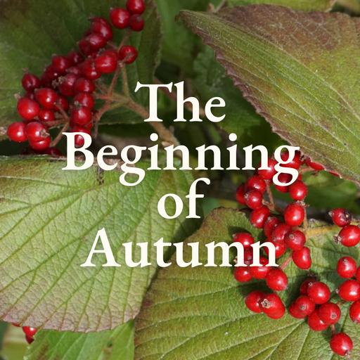 The Beginning of Autumn Rediscovered