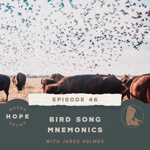 Bird Song Mnemonics with Jared Holmes