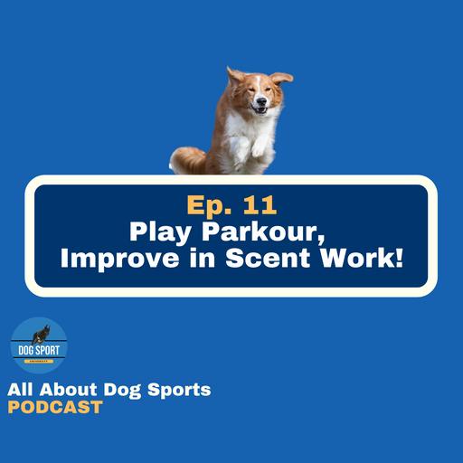 Play Parkour, Improve in Scent Work!