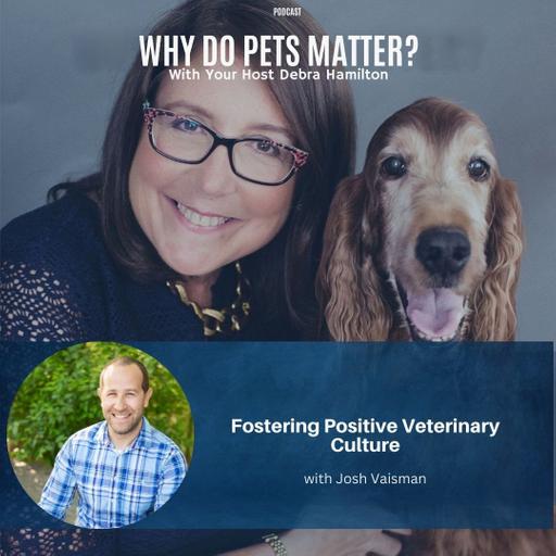 Fostering Positive Veterinary Culture with Josh Vaisman