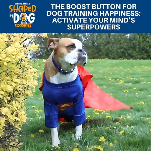 The Boost Button For Dog Training Happiness: Activate Your Mind’s Superpowers #280