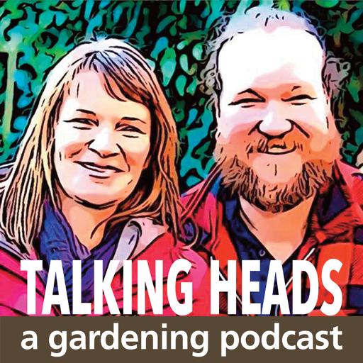 Ep. 232 - Is August the least favourite month for gardening, controversial but Lucy and Saul have a chat about it, plus trimming your dangling beans and how to break into some Garden writing.