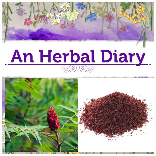 Getting to Know Sumac, An Underutilized Herb