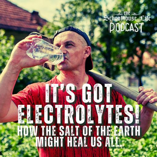 It’s got electrolytes! How the salt of the earth might heal us all.