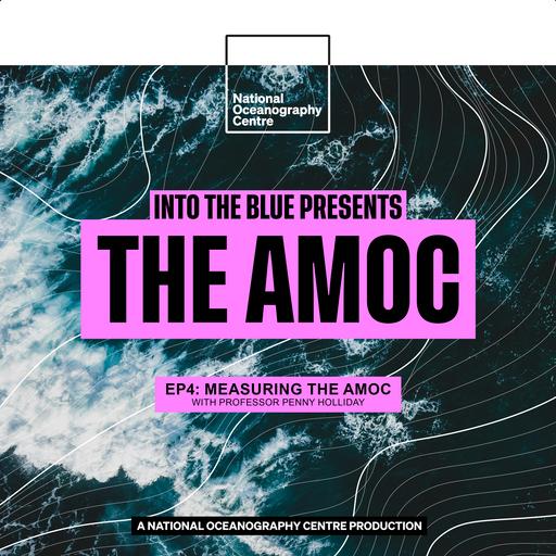 How Ocean Arrays Give Us Indications of the AMOC's Health | Into the Blue Presents: The AMOC Ep4